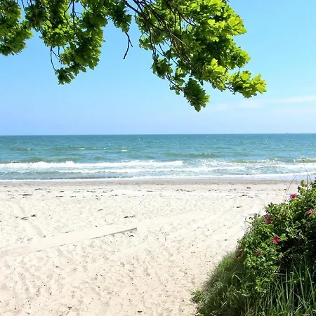 Strandresort Rex Rugia Ferienwohnung 11-1 Mit Sauna- Und Schwimmbadnutzung Im Ahoi Sellin *