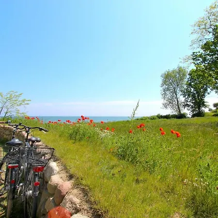 Strandresort Rex Rugia Ferienwohnung 11-1 Mit Sauna- Und Schwimmbadnutzung Im Ahoi Sellin דירה לובה